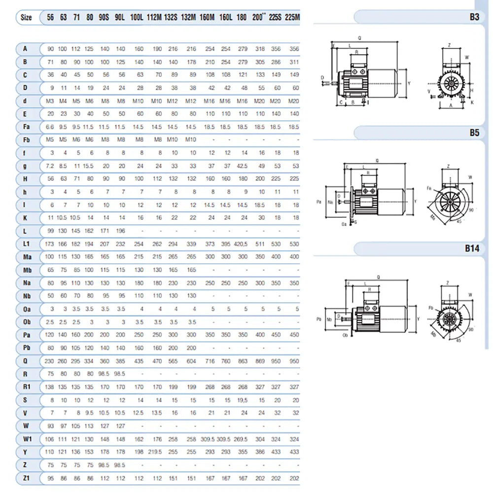 Motor autofrenante trifásico IE1 BM MGM B3 3000rpm 2/4 0,18KW 0,25CV 63A