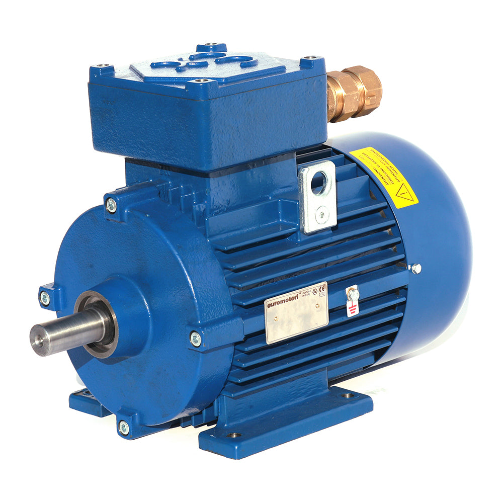 Motor Trifásico Euromotori IE3 Ex db B3 1500rpm 4/6 Polos 5,5kW 7,5CV 132S