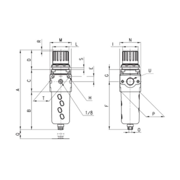 Filtro Aignep Serie T010
