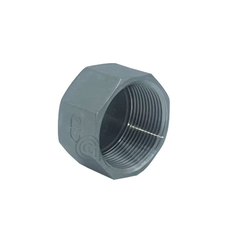 Tapón de Acero Inoxidable 316 con rosca interior Figura 300 CINOX