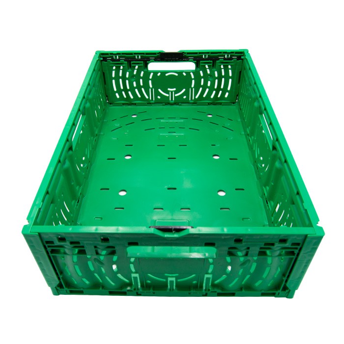CAJA PLEGABLE PLS 6416 1ª C VERDE ASAS NEGRAS
