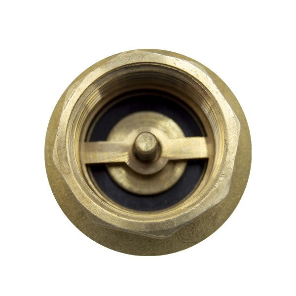 VALVULA RETENCION 4115 3/4"