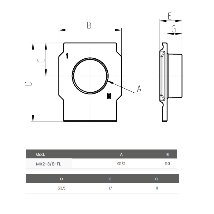 Bridas Terminales G3/8 MX2-3/8-FL