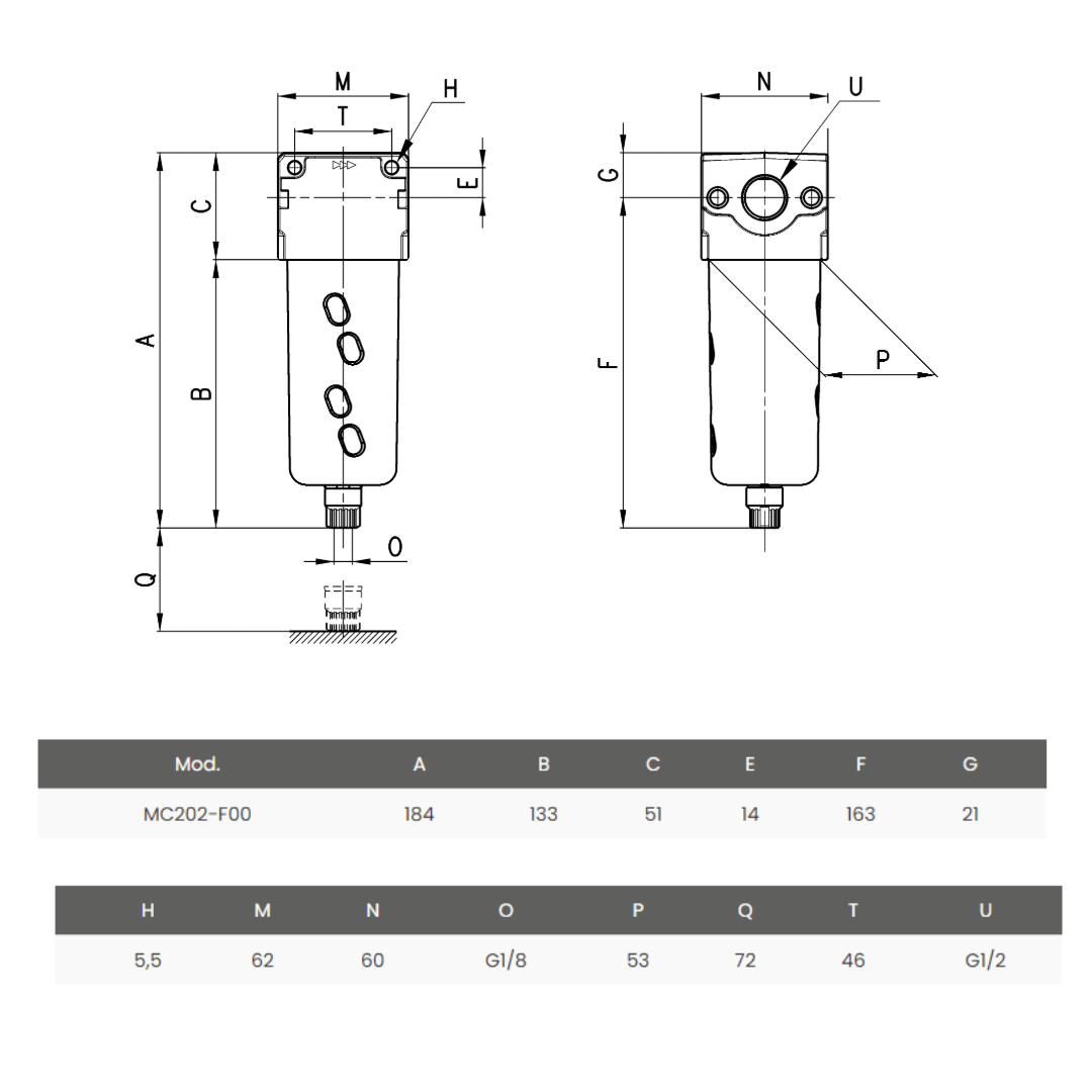 Filtro Mc 1/2 Semi-Aut/Man.25um MC202-F00