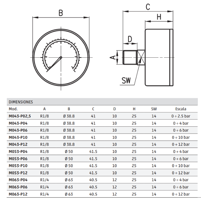 Maómetro Camozzi G1/8 0-12 M053-P12