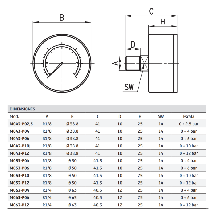 Manómetro Camozzi G1/8 0-10 M043-P10