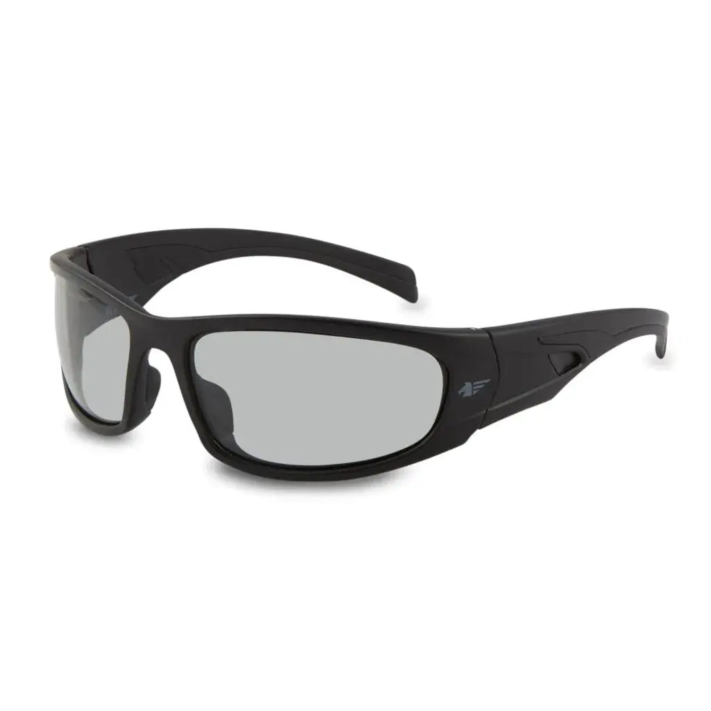 Gafas de seguridad Pegaso Fotocrom 121.01 Solar claro a oscuro 1-3