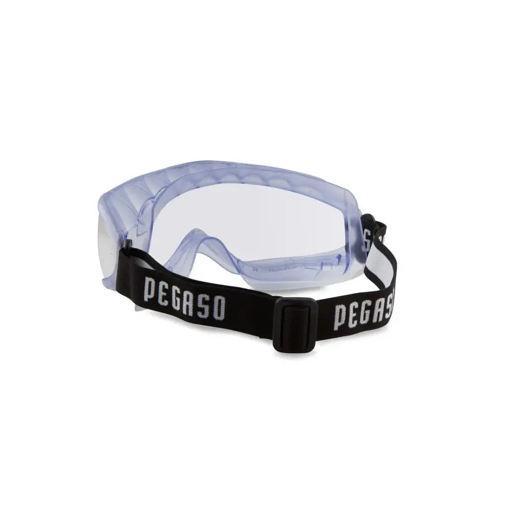 Gafas de Seguridad Pegaso XL 21 Laboratorio Incolora